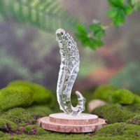 Clear Sensual Glass G-spot Anal Massager Dildo Anal Butt Plug Sex Toys for Women